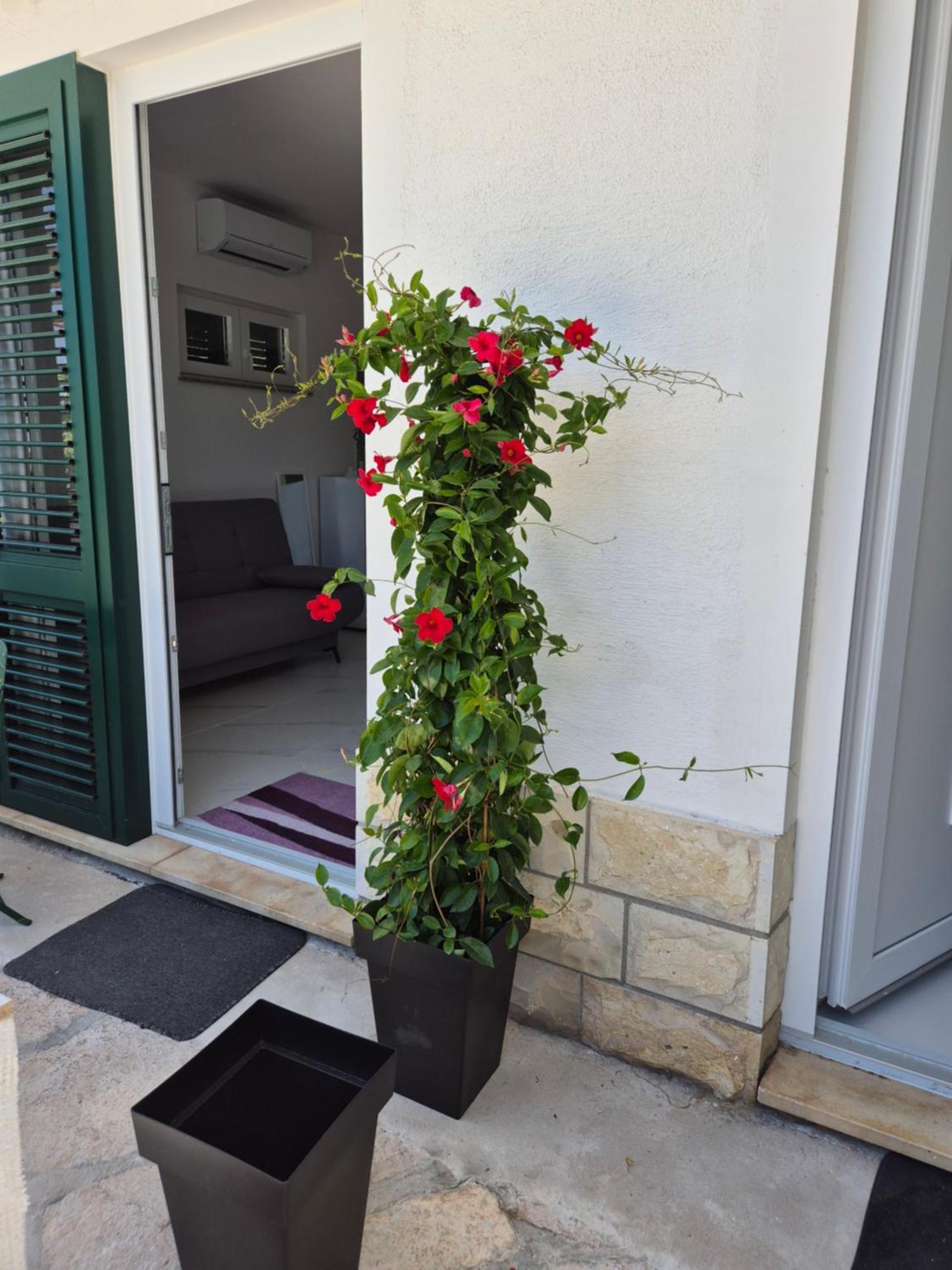 Apartman Bauer - Omis- Nemira Εξωτερικό φωτογραφία
